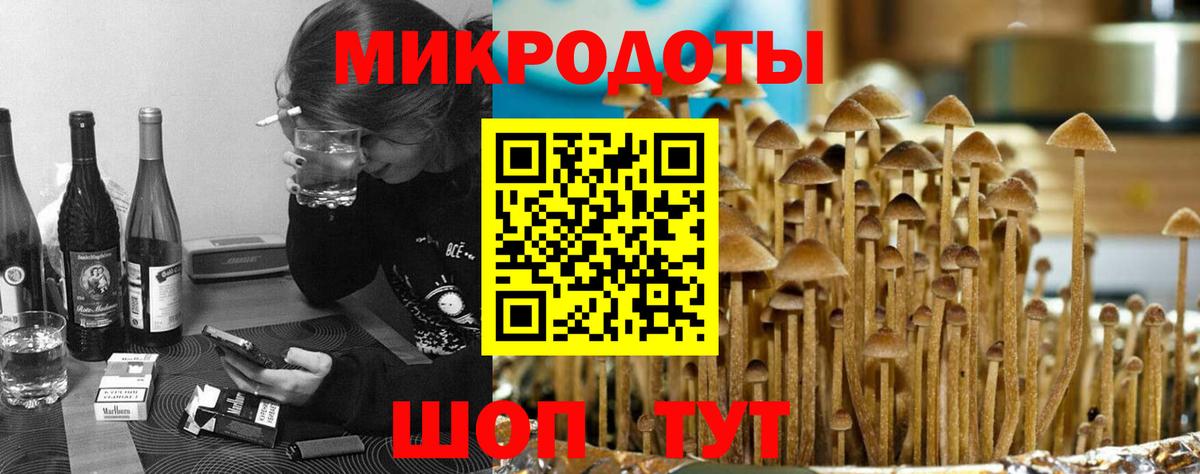 Псилоцибиновые грибы мухоморы Саяногорск
